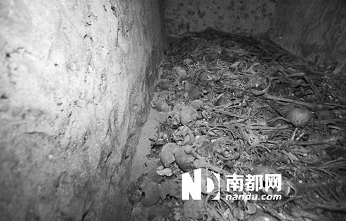 　5月29日，在以色列特拉維夫市雅法地區(qū)，一處集體墳墓被發(fā)現(xiàn)。