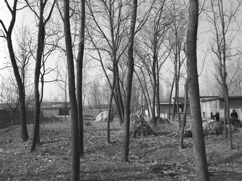 486臺兒莊戰(zhàn)役將士埋骨荒野 紀念設施或年內(nèi)落成