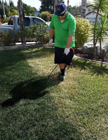 加州一市民正在為草地翻新“整容”。