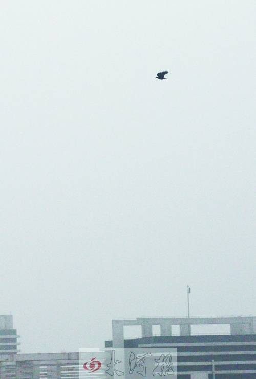 全省35個(gè)縣市發(fā)布惡劣天氣預(yù)警信號(hào)，其中15個(gè)發(fā)布大霧紅色預(yù)警