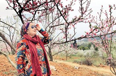公式“時尚奶奶”的賞花照，收獲了好多人的點贊。 受訪者供圖