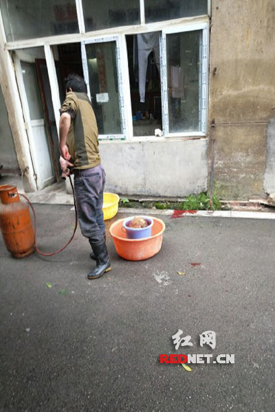 5月8日，男子在校園里殺狗，地上殘留一塊血跡。目擊者供圖。