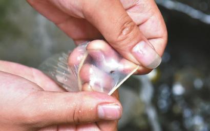 避孕套存在小孔。