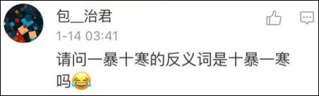 鶴立雞群？雞立鶴群！