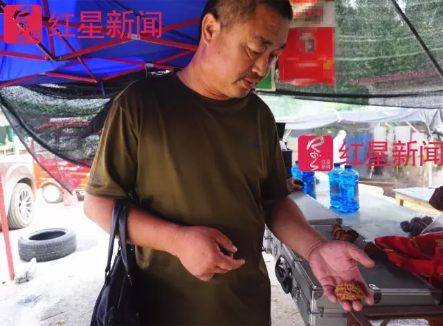 文玩核桃遇冷由幾萬一對(duì)降到5元沒人要？商戶否認(rèn)