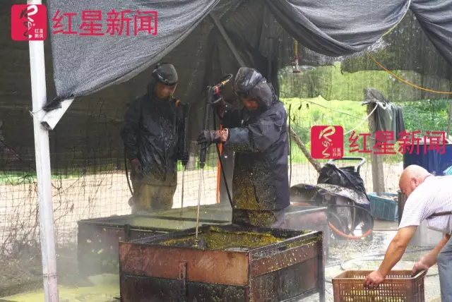 文玩核桃遇冷由幾萬一對(duì)降到5元沒人要？商戶否認(rèn)