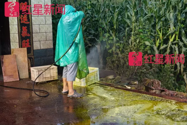 文玩核桃遇冷由幾萬一對(duì)降到5元沒人要？商戶否認(rèn)