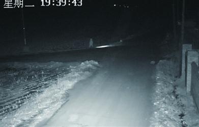 10歲男孩一個(gè)人打著手電走在鄉(xiāng)間公路上。 警方供圖