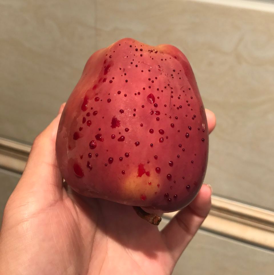 嚇懵！女子用熱水泡蘋果結(jié)果冒出血珠 咋回事？