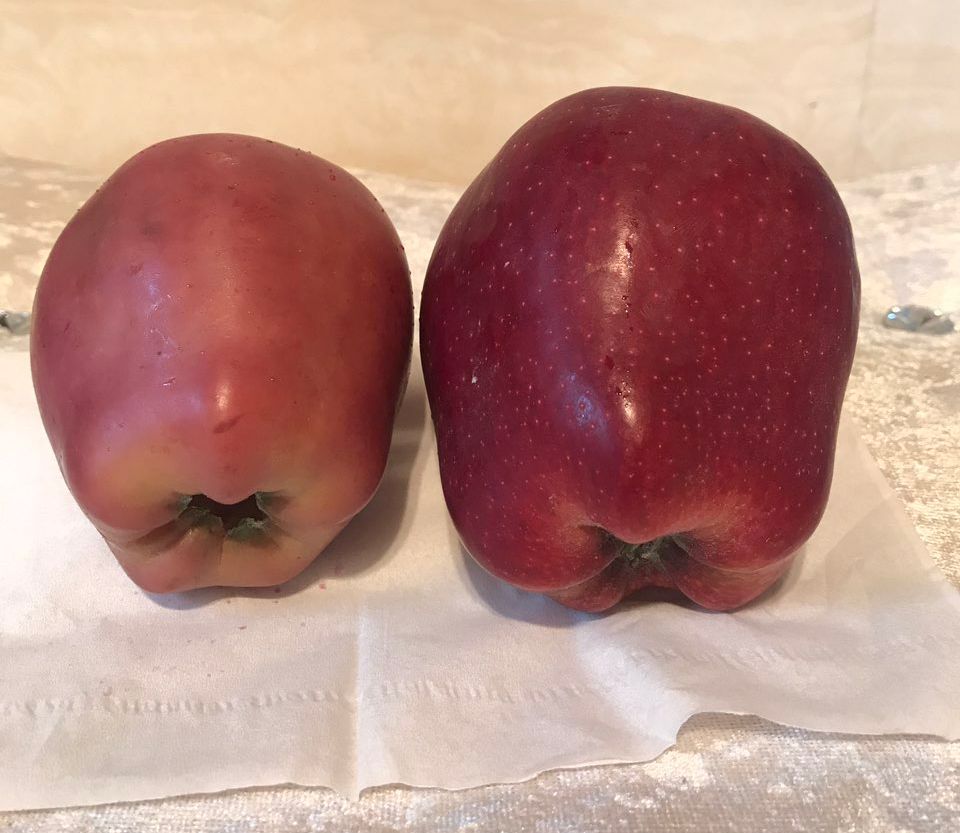 嚇懵！女子用熱水泡蘋果結(jié)果冒出血珠 咋回事？