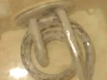 太惡心！女游客竟用酒店燒水壺煮自己的臟內(nèi)褲