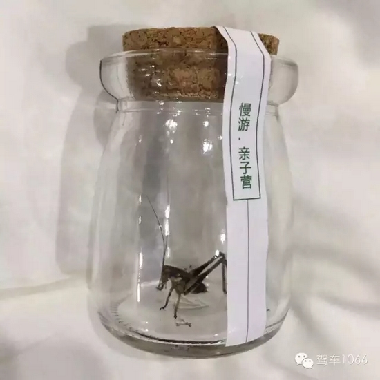 看看我的成果吧！