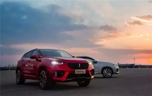 去年“蹦”出來的新汽車品牌們，現(xiàn)在活得怎么樣了？