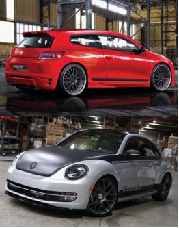 尚酷、甲殼蟲