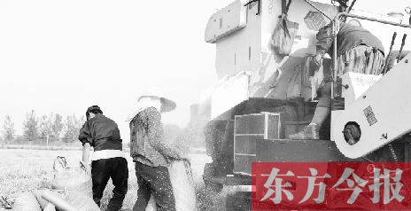 李正厚的妻子鮑本華（右）和一位村民拎著麻袋來到收割機前，接住傾倒出來的麥粒