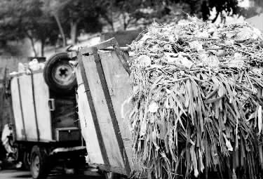 垃圾車、渣土車再在市區(qū)“裸奔”就是違法了