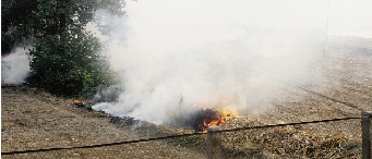 鄭州深陷“霾”伏   都是燒秸稈惹的禍？