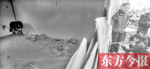 12月4日，鄭州市未來(lái)路與隴海路交叉口西側(cè)，執(zhí)法人員用吹管麻醉針對(duì)付一只藏獒