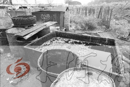 　　骯臟、令人作嘔的油桶凌亂地擺放在院子里，為了避免視覺刺激，我們把它做成了黑白圖片。