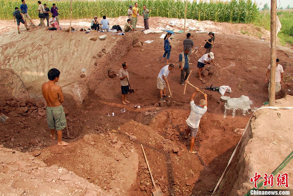 恐龍化石發(fā)掘現(xiàn)場。