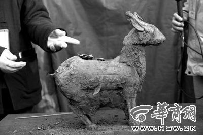 一件似羊似鹿的犧尊華麗亮相，可愛的造型“萌翻”現場。