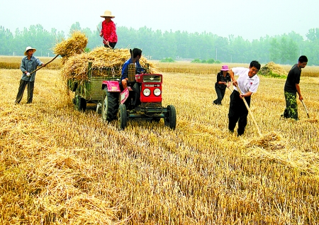 6月1日，舞鋼市礦建街道張我莊村幫扶隊(duì)員在幫村民收秸稈。