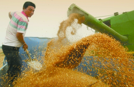 心情喜悅麥龍舞。
