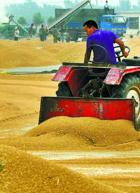 精心晾曬，散倉(cāng)入庫(kù)。