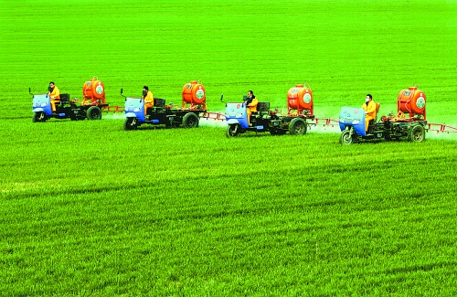車載噴霧機奔駛在萬畝高產(chǎn)田里。