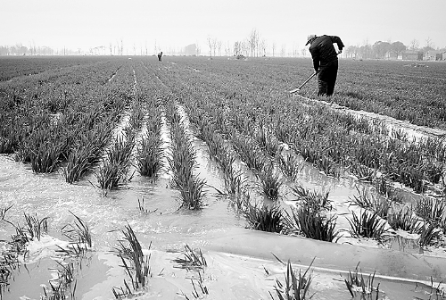 3月25日，濮陽縣郎中鄉(xiāng)大趙寨村農(nóng)民在為小麥澆水。連日來，濮陽縣廣大農(nóng)民不誤農(nóng)時(shí)，及時(shí)為麥田施肥、澆