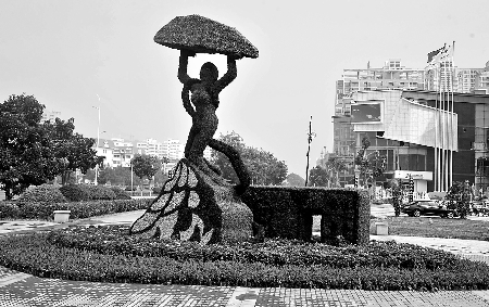 8月28日，南陽街頭繁花似錦，市民宛若行走在花海之中。