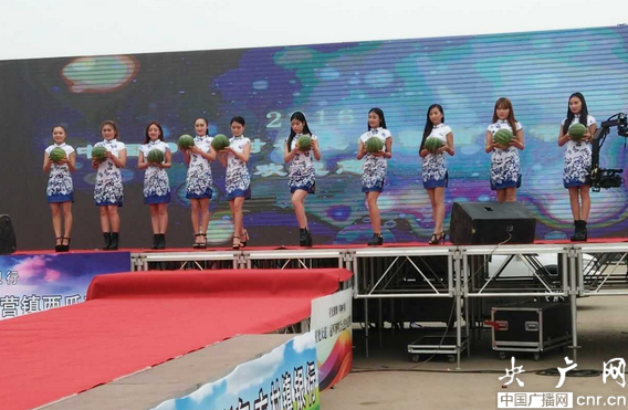 2016中國(guó)·開封——杏花營(yíng)西瓜節(jié)隆重開幕 2016中國(guó)·開封——杏花營(yíng)西瓜節(jié)隆重開幕