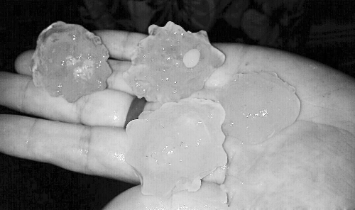 昨天凌晨，三門(mén)峽下起了冰雹，最大直徑近1厘米 微博截圖