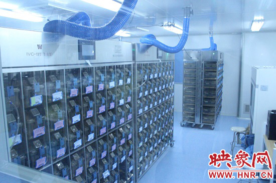 “鼠村”里每一個籠子是一家?！按濉崩镒≈?萬只左右的小鼠