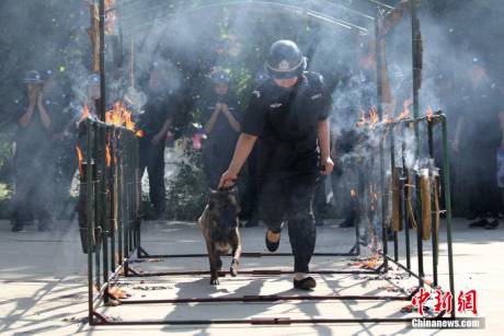 河南某景區(qū)成立女子反恐救援隊(duì)