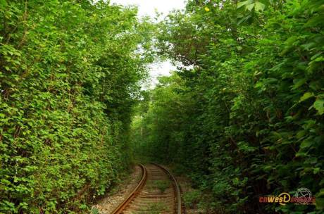 西安現(xiàn)“小清新”鐵路 西安現(xiàn)“小清新”鐵路