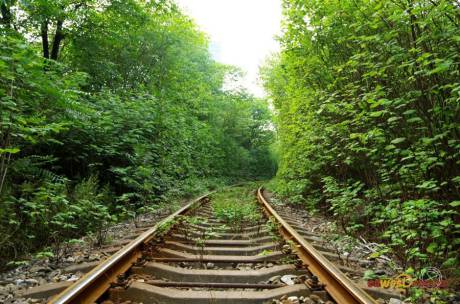 西安現(xiàn)“小清新”鐵路 西安現(xiàn)“小清新”鐵路