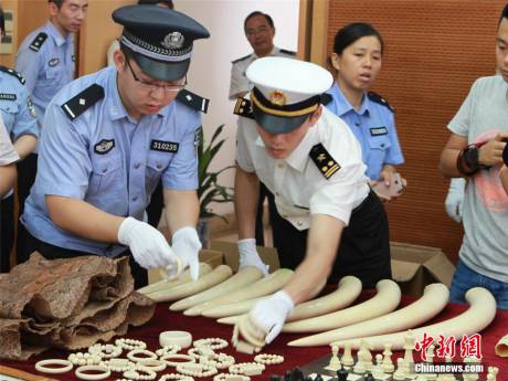 寧波海關(guān)查獲走私珍貴動(dòng)物制品