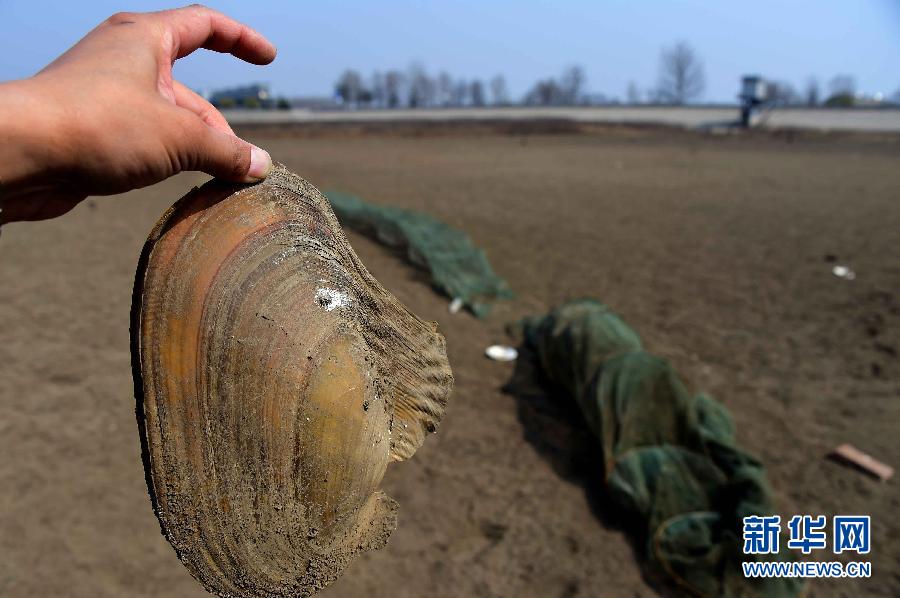山東旱情 274座水庫干涸157條河道斷流 山東旱情 274座水庫干涸157條河道斷流