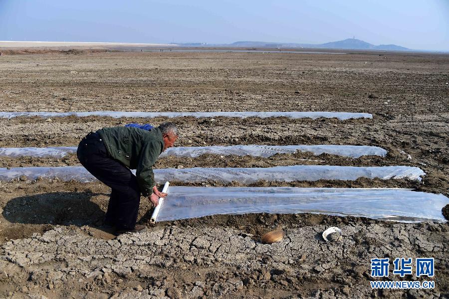 山東旱情 274座水庫干涸157條河道斷流 山東旱情 274座水庫干涸157條河道斷流