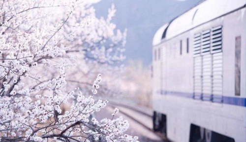 開往春天的列車 開往春天的列車