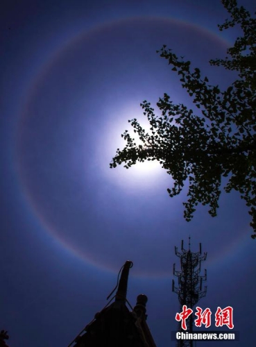 棗莊現(xiàn)日暈藍天美景