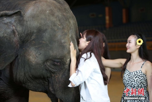 學(xué)生參加?；ㄐ２荽筚?穿比基尼秀身材