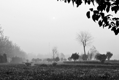 3月26日上午8點,鄭大新校區(qū),濃濃的霧霾埋沒了大好春景。