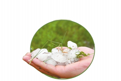 冰雹化了一些,還有這么大。