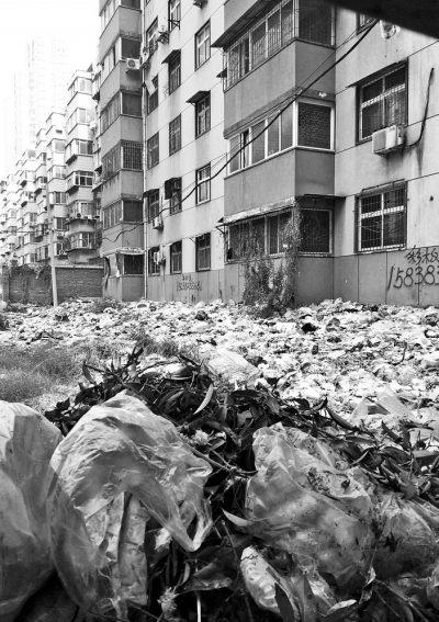 透過擋板縫向內(nèi)看，30多米垃圾已經(jīng)將居民樓包圍。