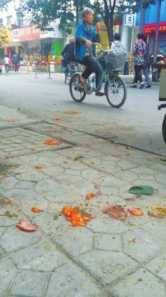 爛了一地的柿子影響市容，還常?；谷?。