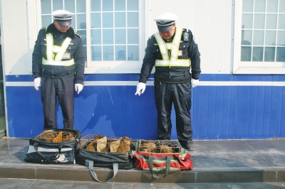 民警查獲的乘客行李包中，裝的全是獼猴。