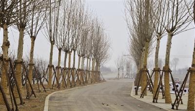 北三環(huán)東延工程邊上的生態(tài)廊道 北三環(huán)東延工程邊上的生態(tài)廊道