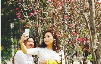 市民在公園與花合影。